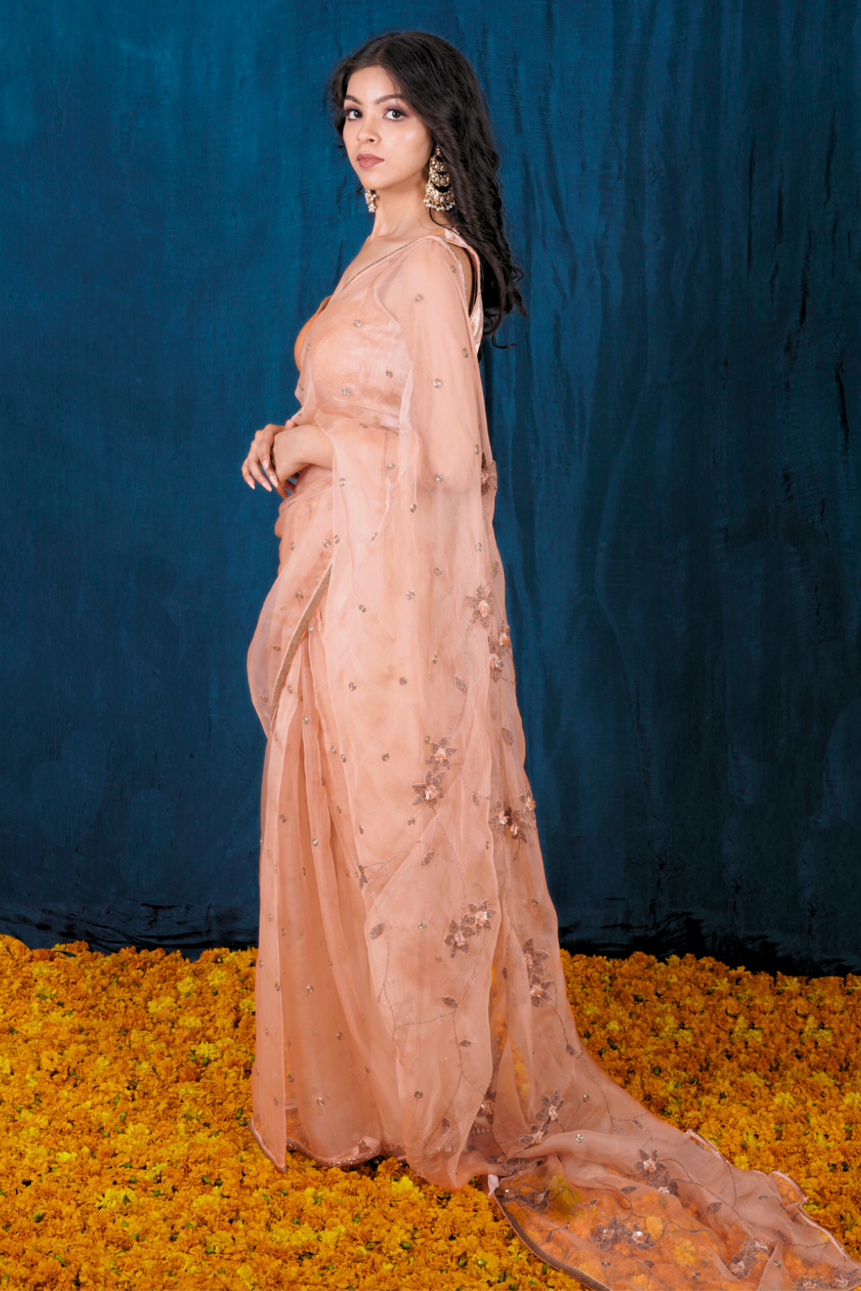 Champagne Organza Saree Set