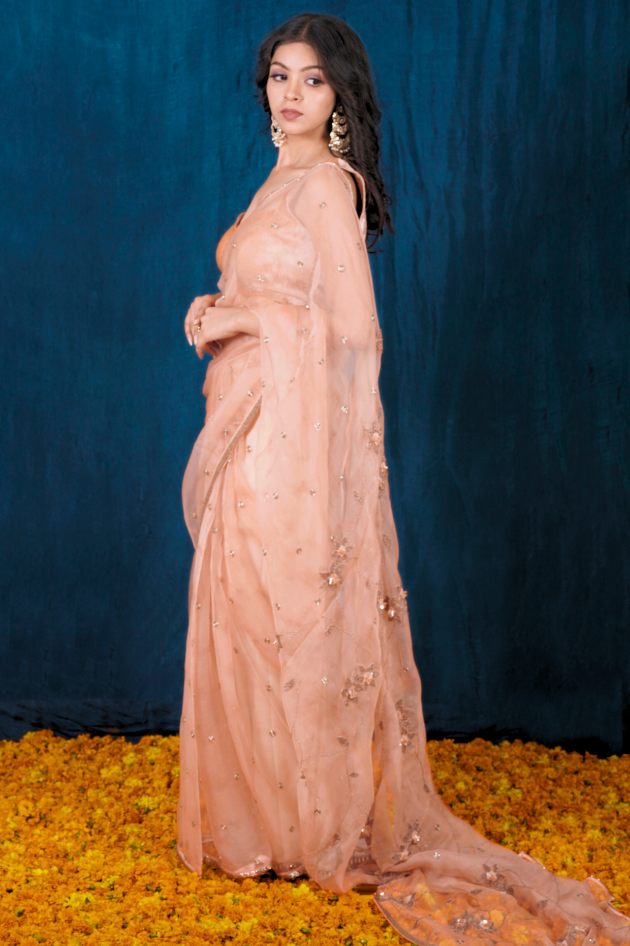 Champagne Organza Saree Set