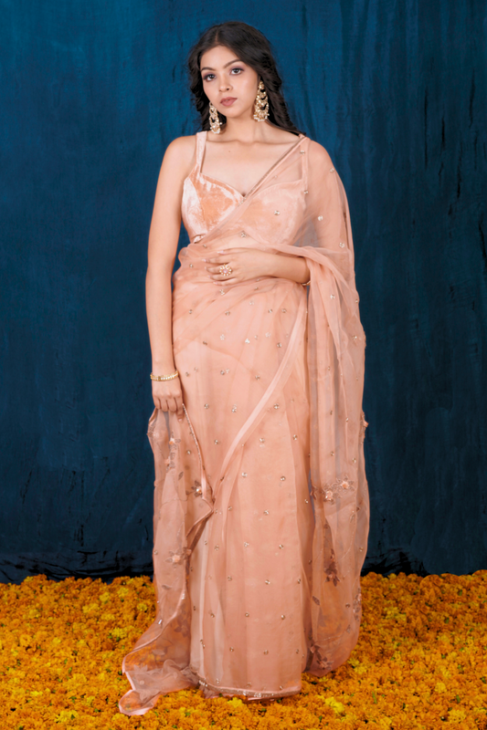 Champagne Organza Saree Set