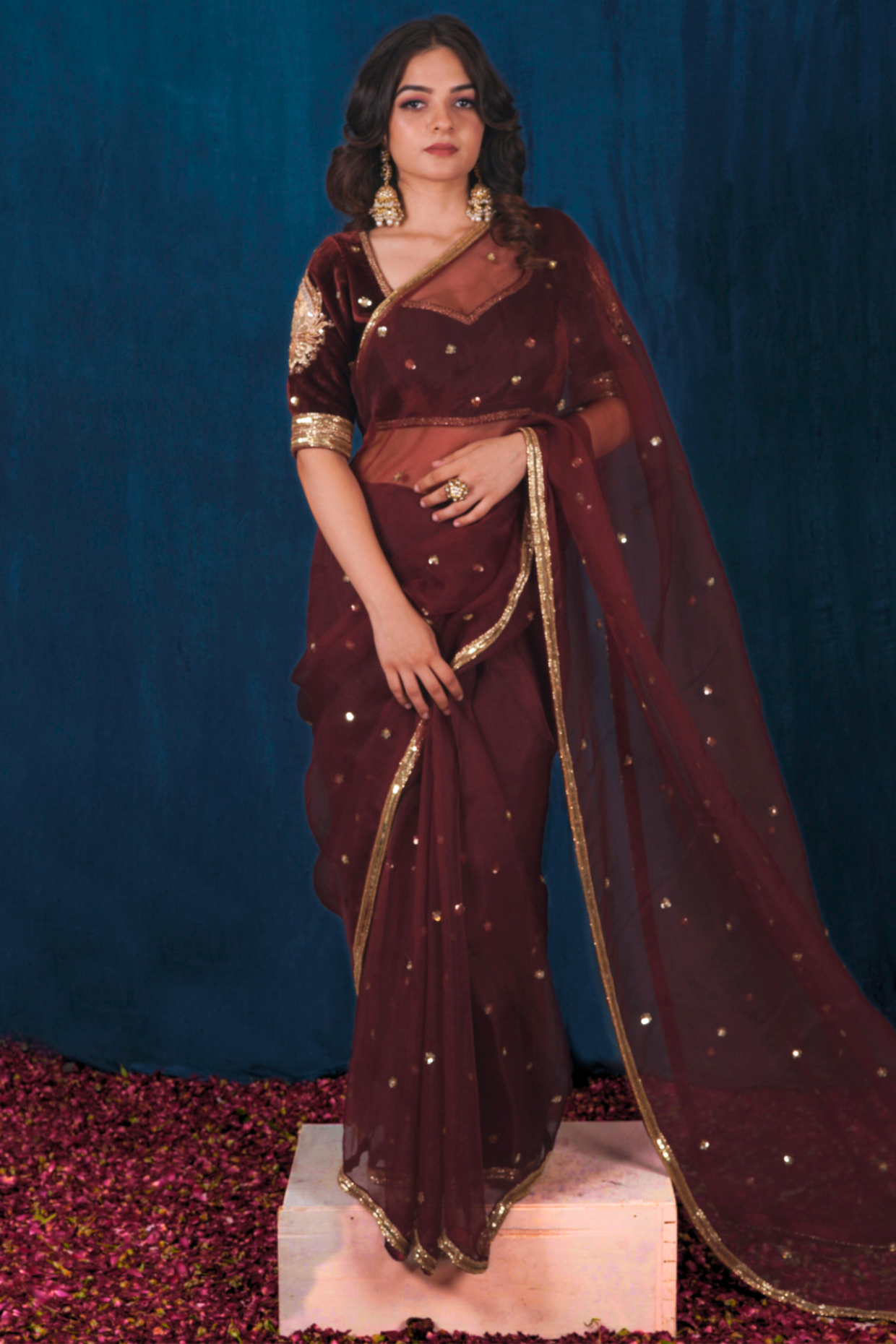 Red Silk Velvet and Silk Organza Saree Set