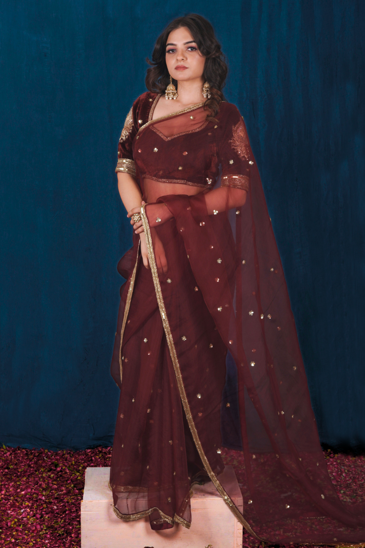 Red Silk Velvet and Silk Organza Saree Set